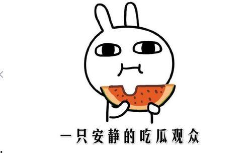 网络吃瓜事件,揭秘网络舆论的狂欢与反思